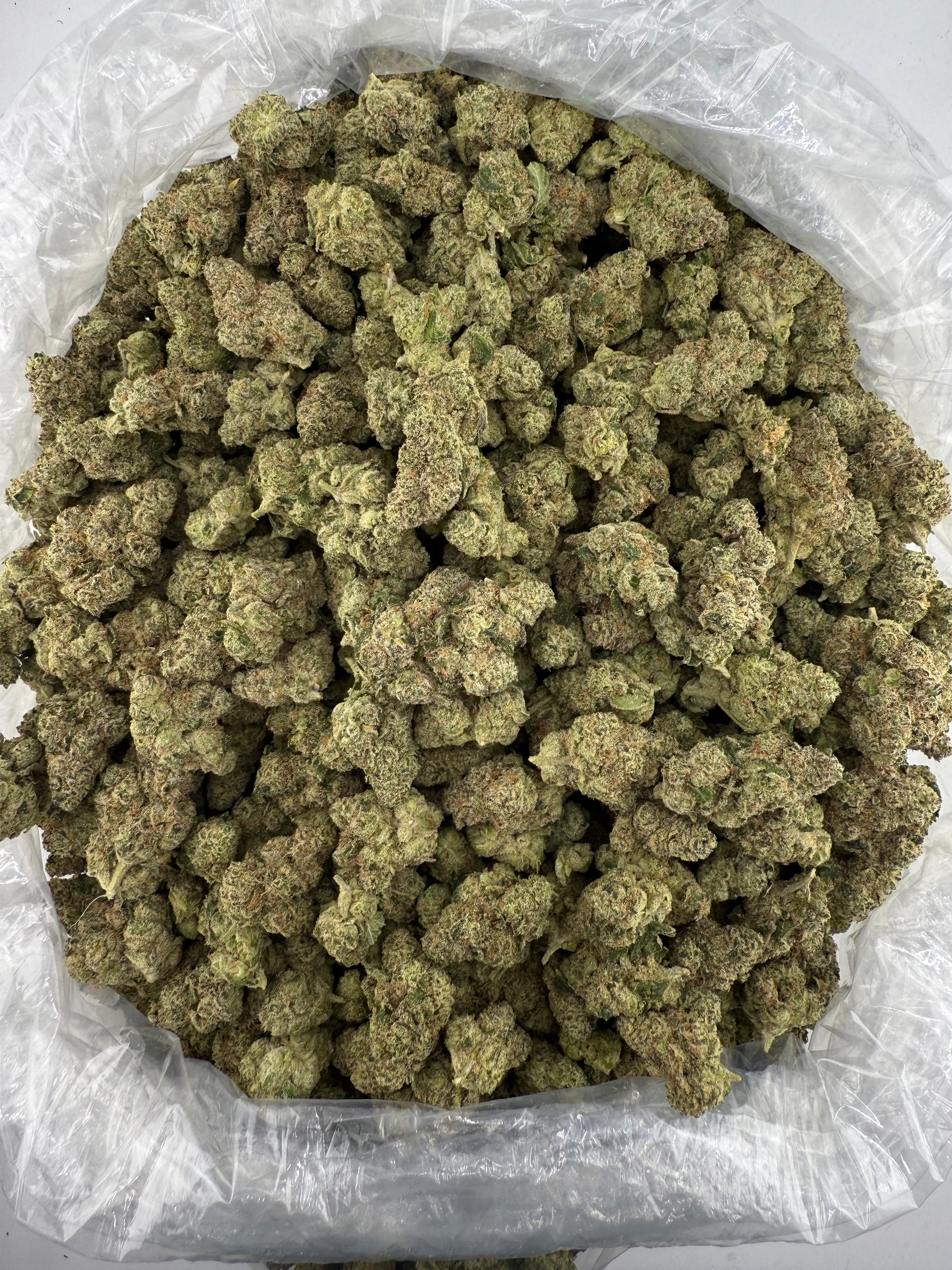Hashburger (MOTA)