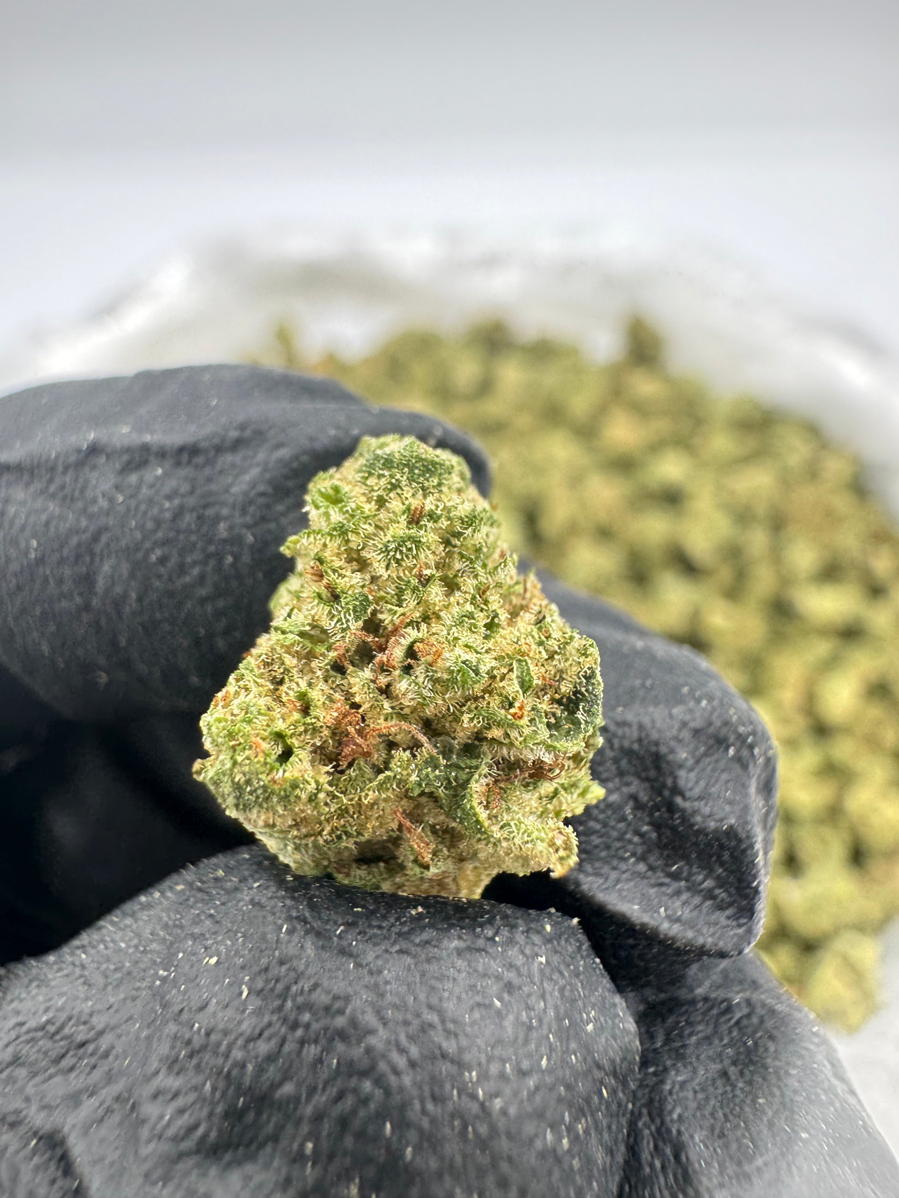 Gorilla Glue Smalls