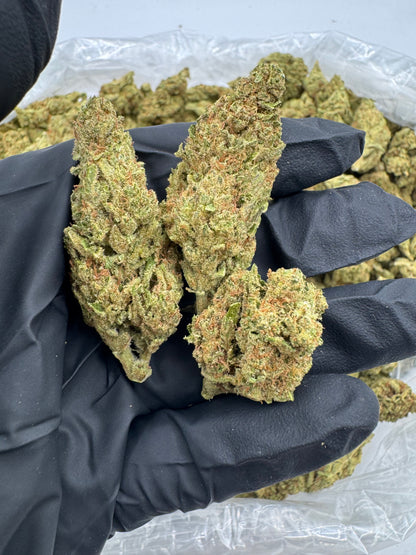 Lavender Jack Deps