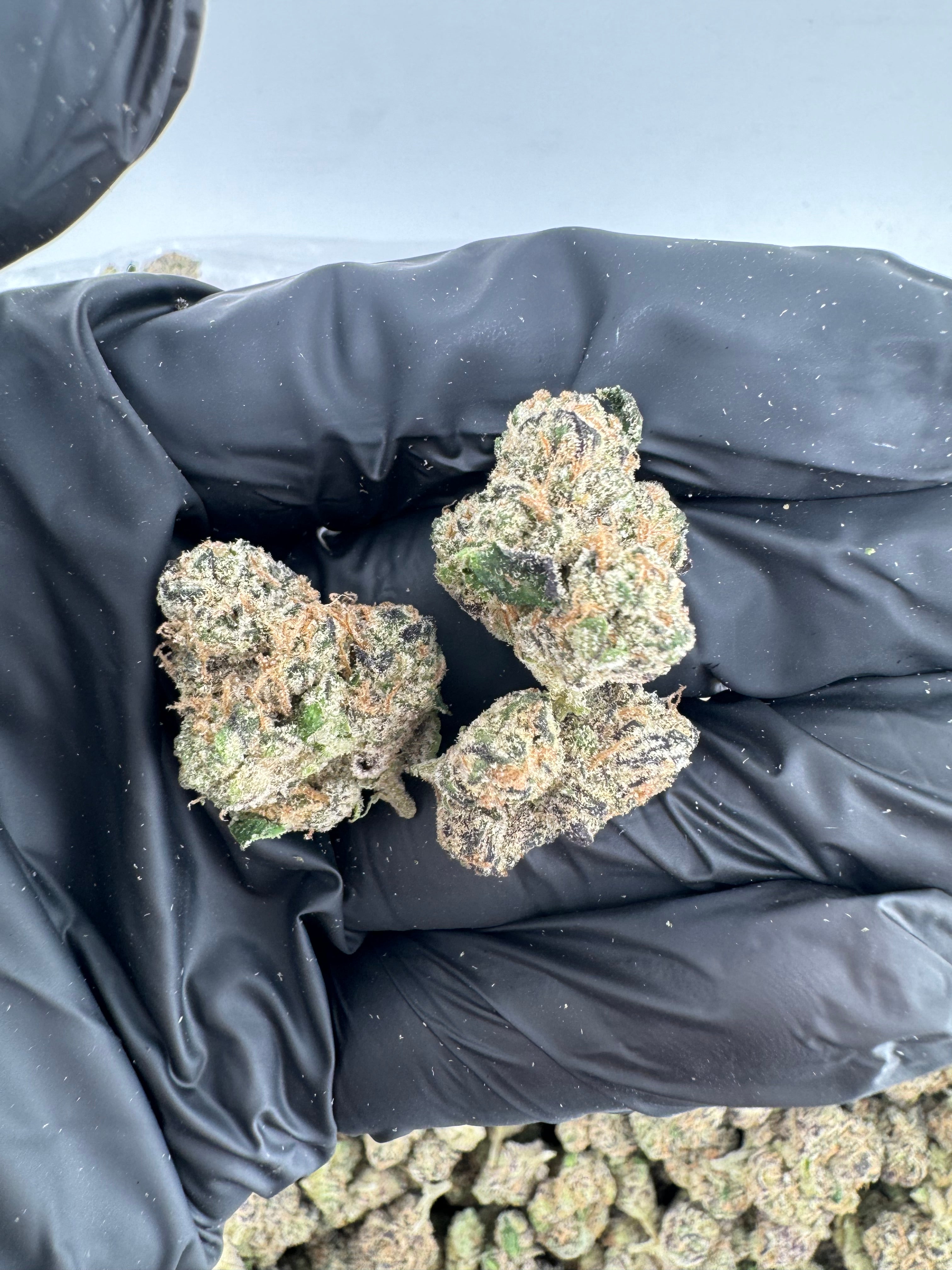 Grape Gasoline