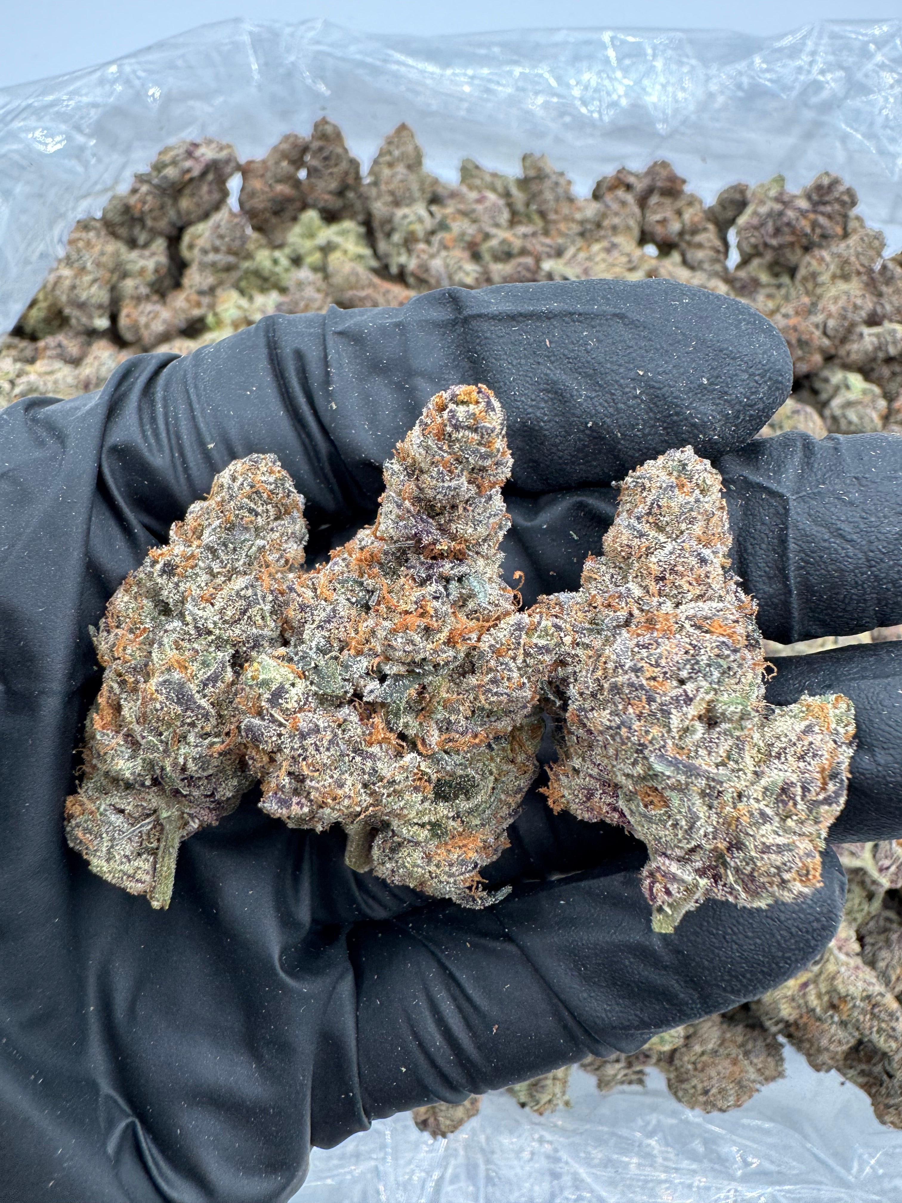 Blueberry Blast