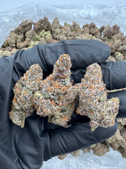 Blueberry Blast