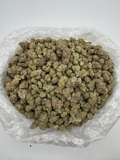 Gelato 31