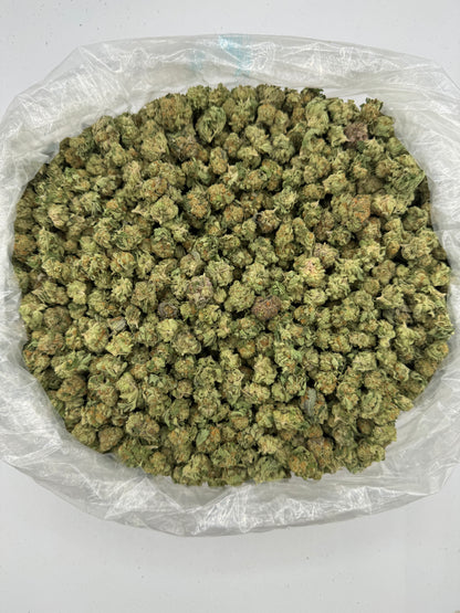 Watermelon Punch Smalls
