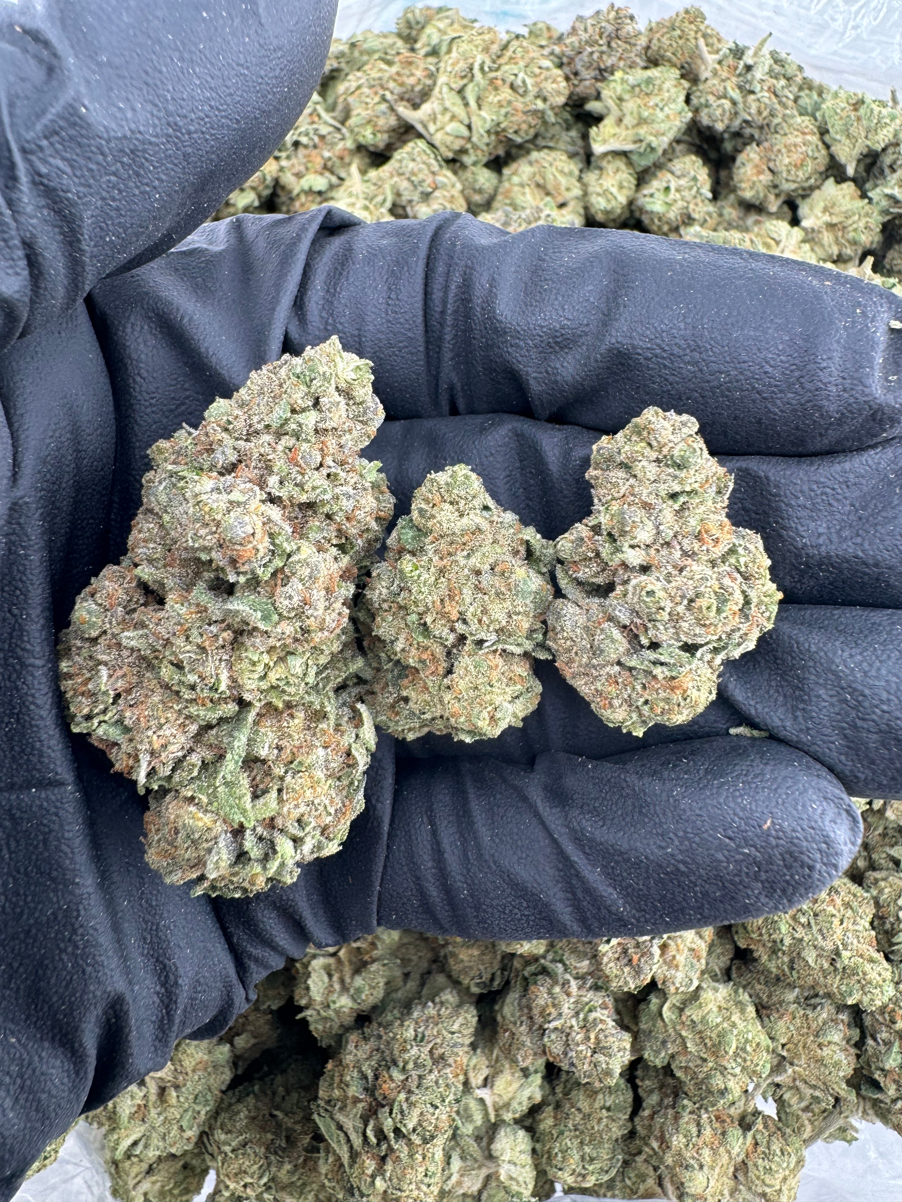 Frost