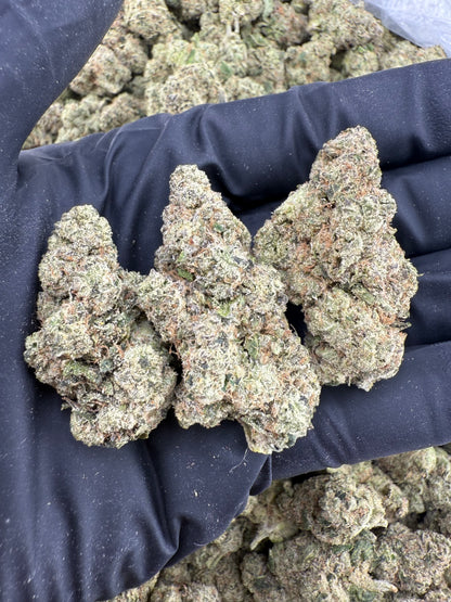 Hashburger (MOTA)