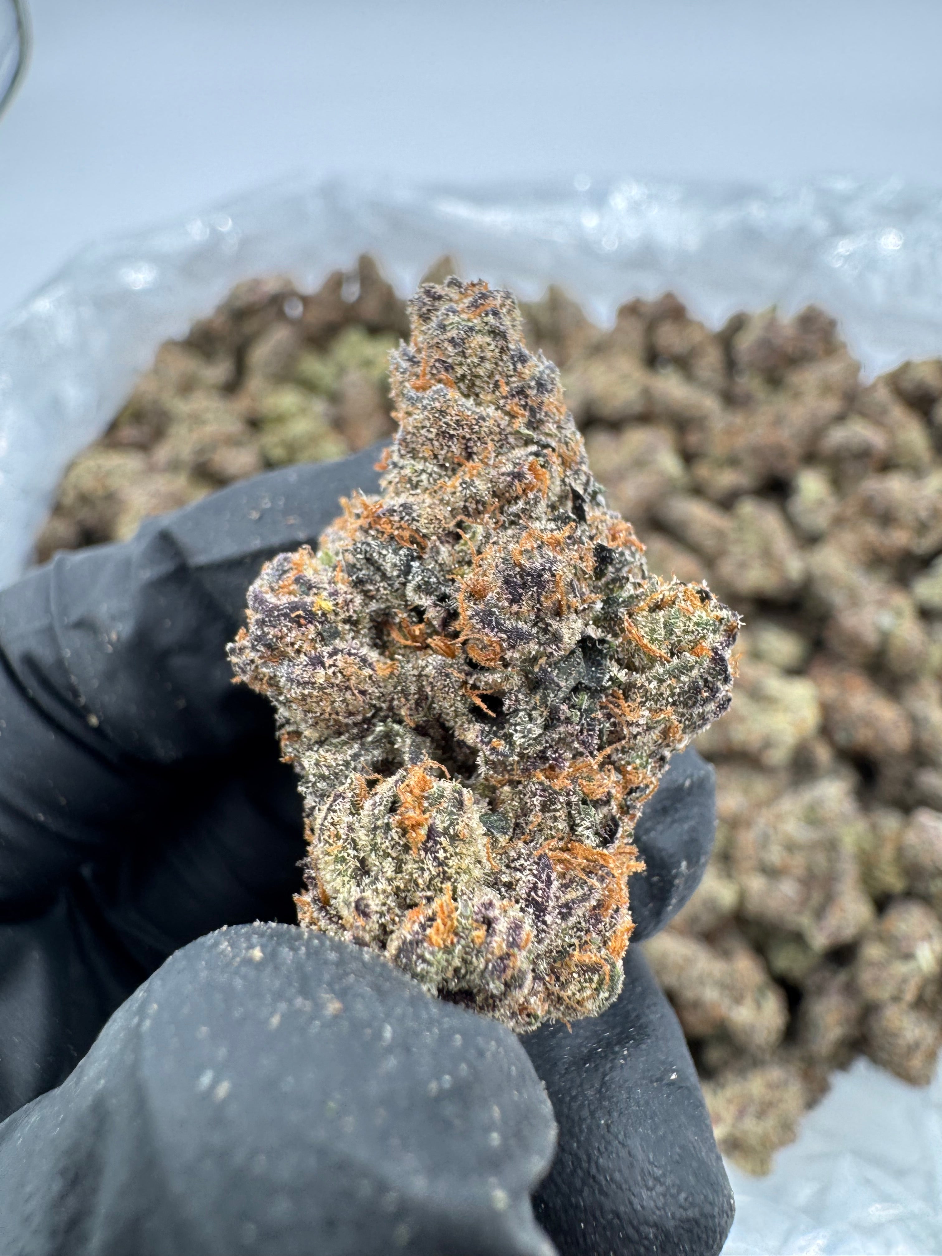 Blueberry Blast