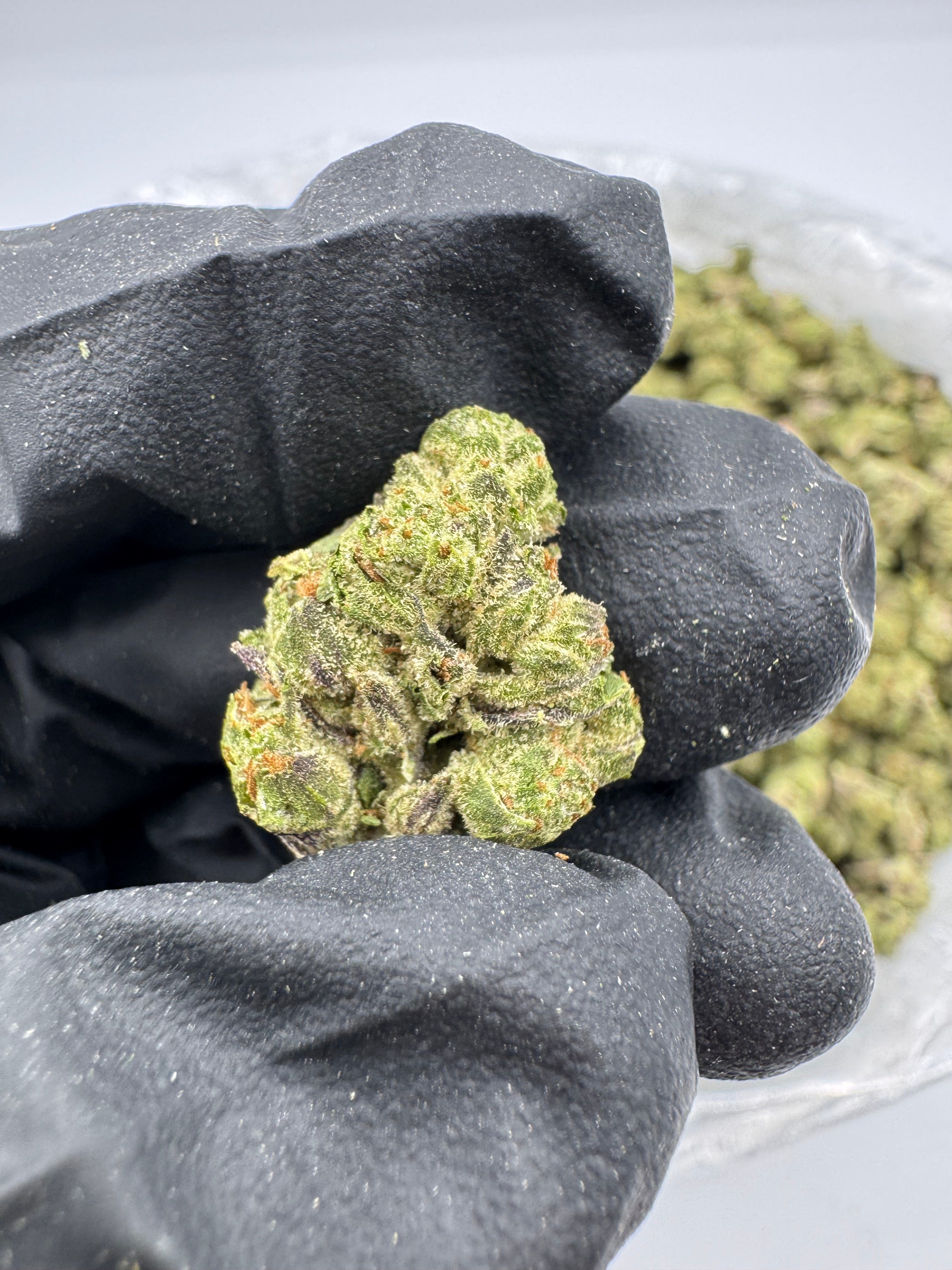 Grape Bubblegum Smalls