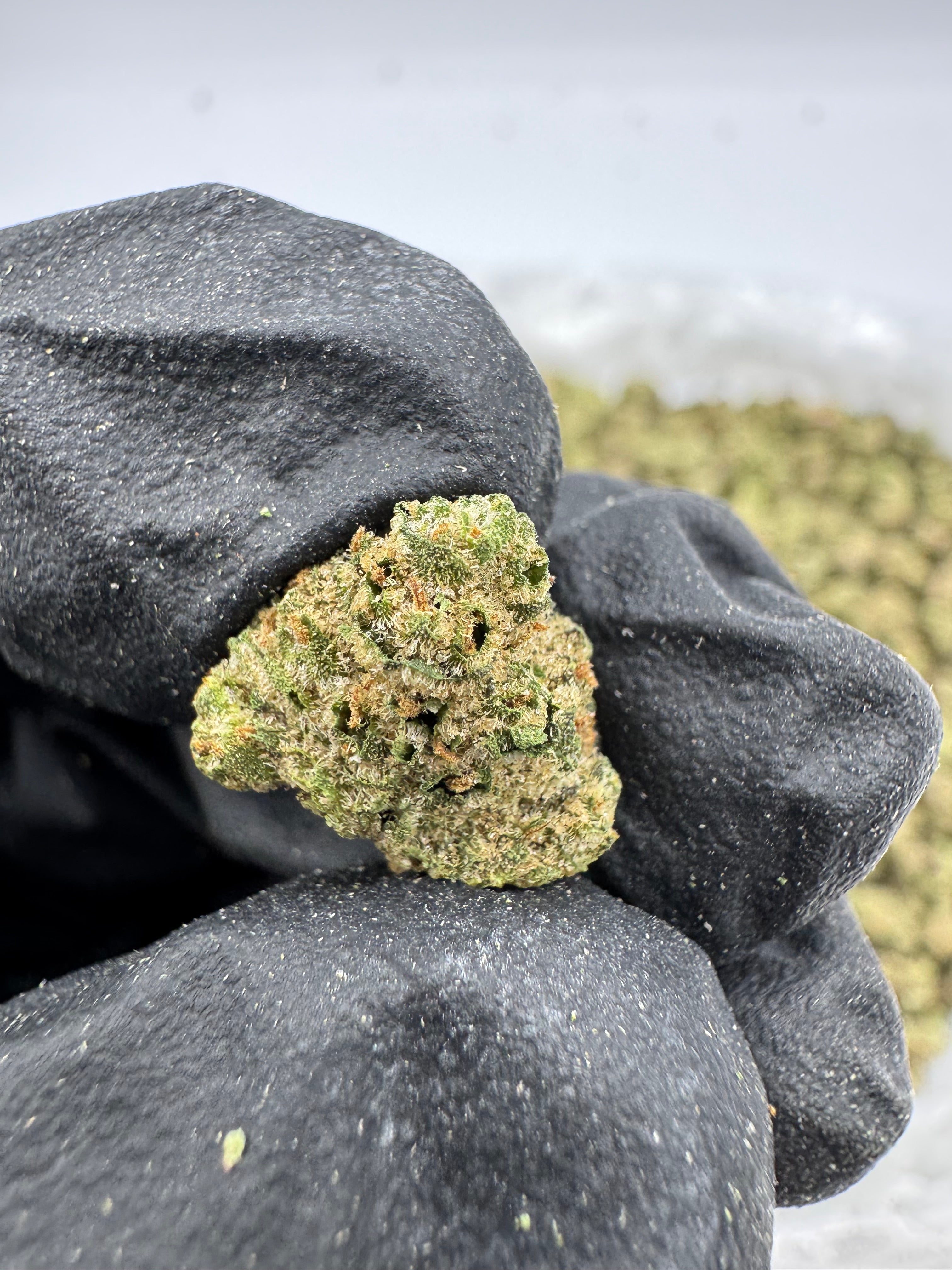 Silver Haze Smalls