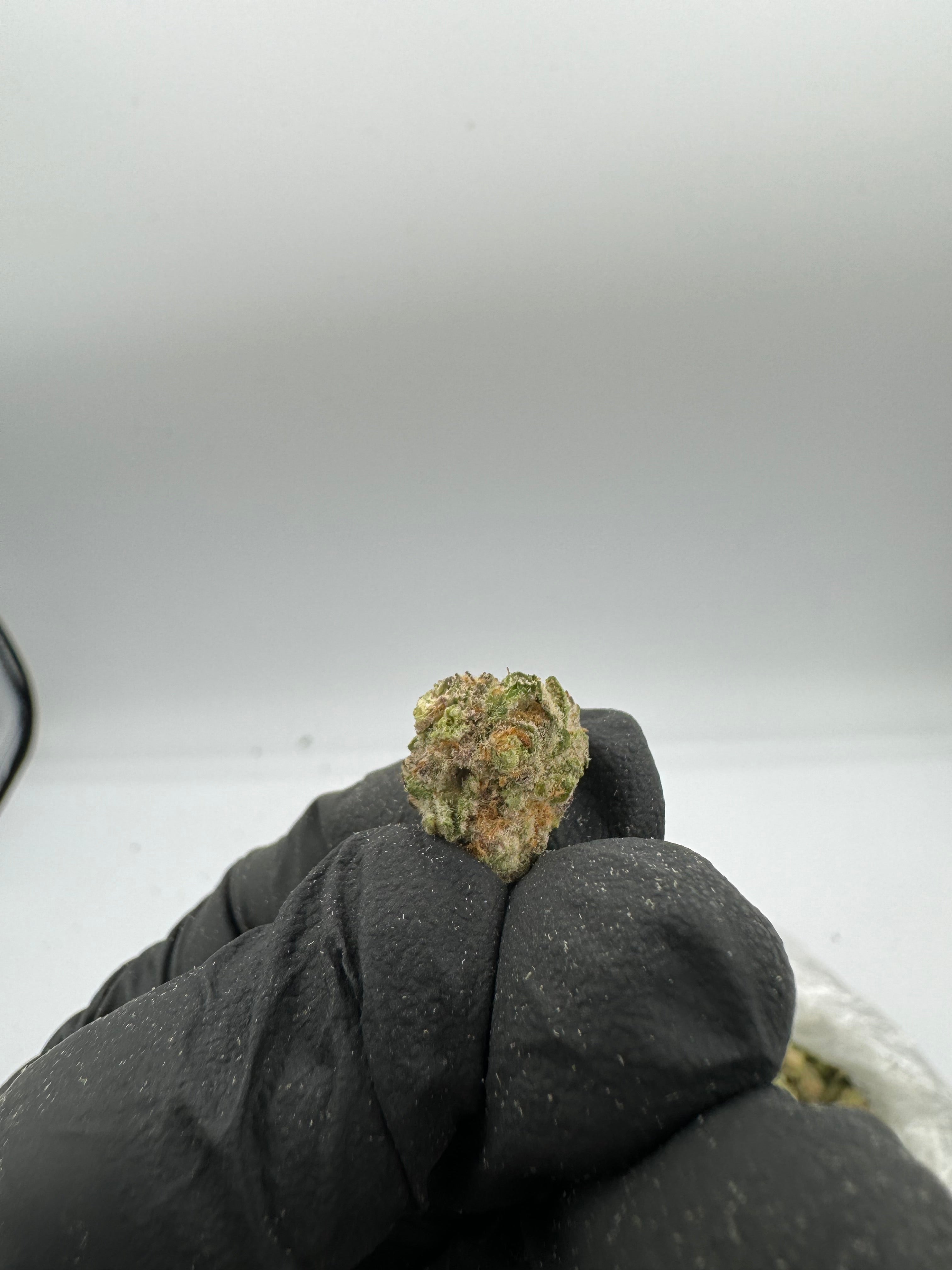 Purple Punch Smalls