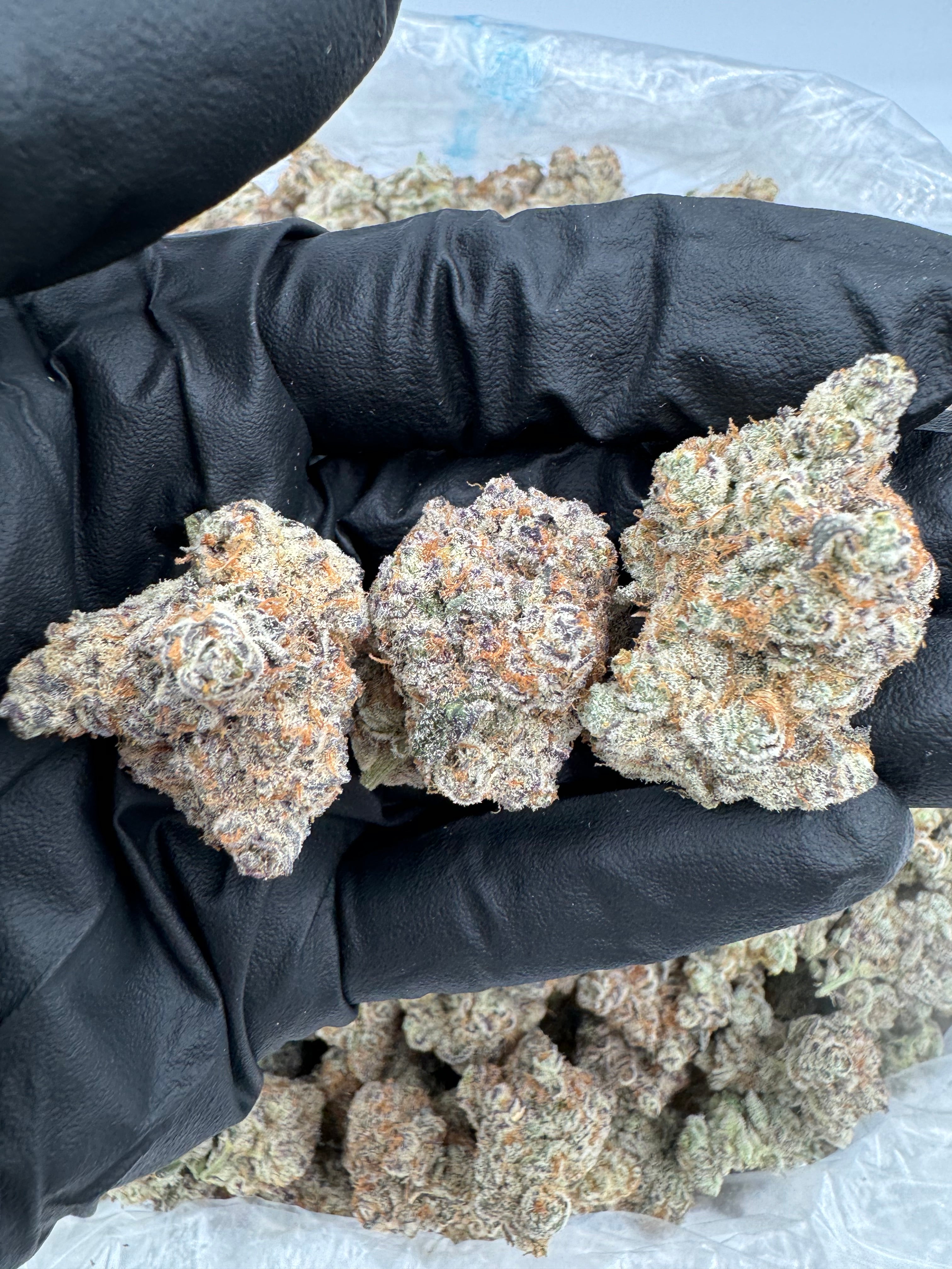 Alaskan Ice