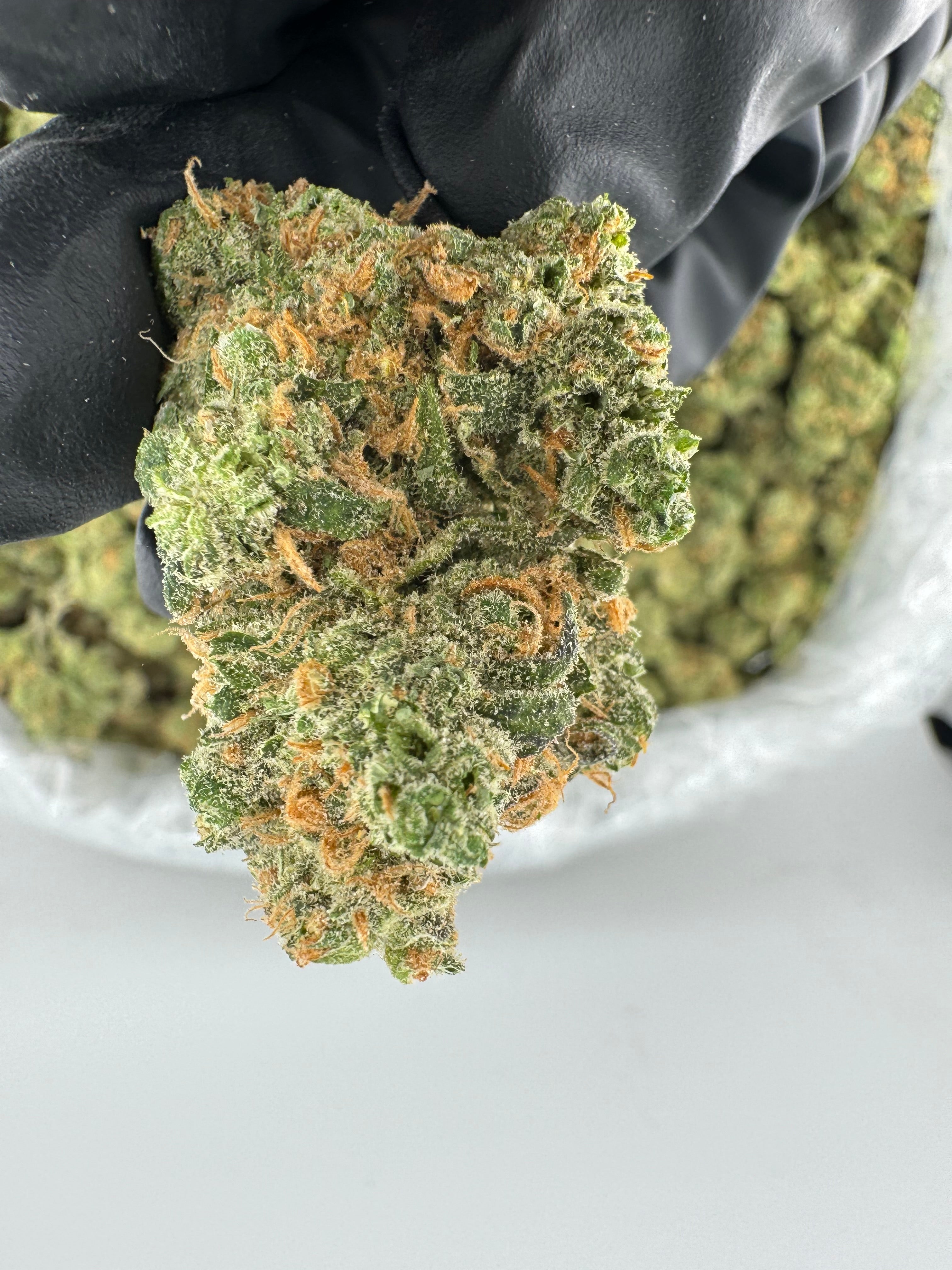 Blue Dream (High End)