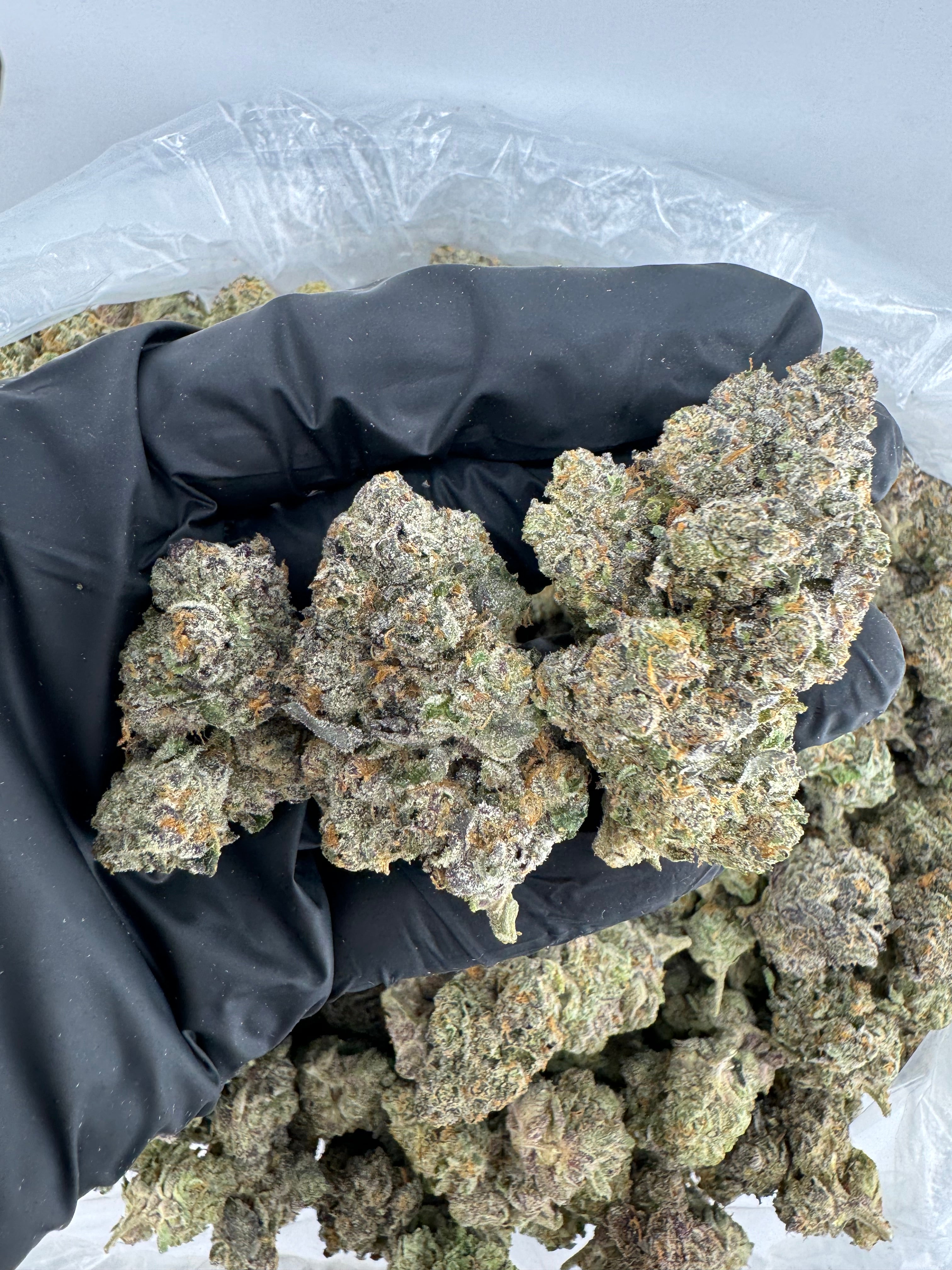 Banana Sherbet
