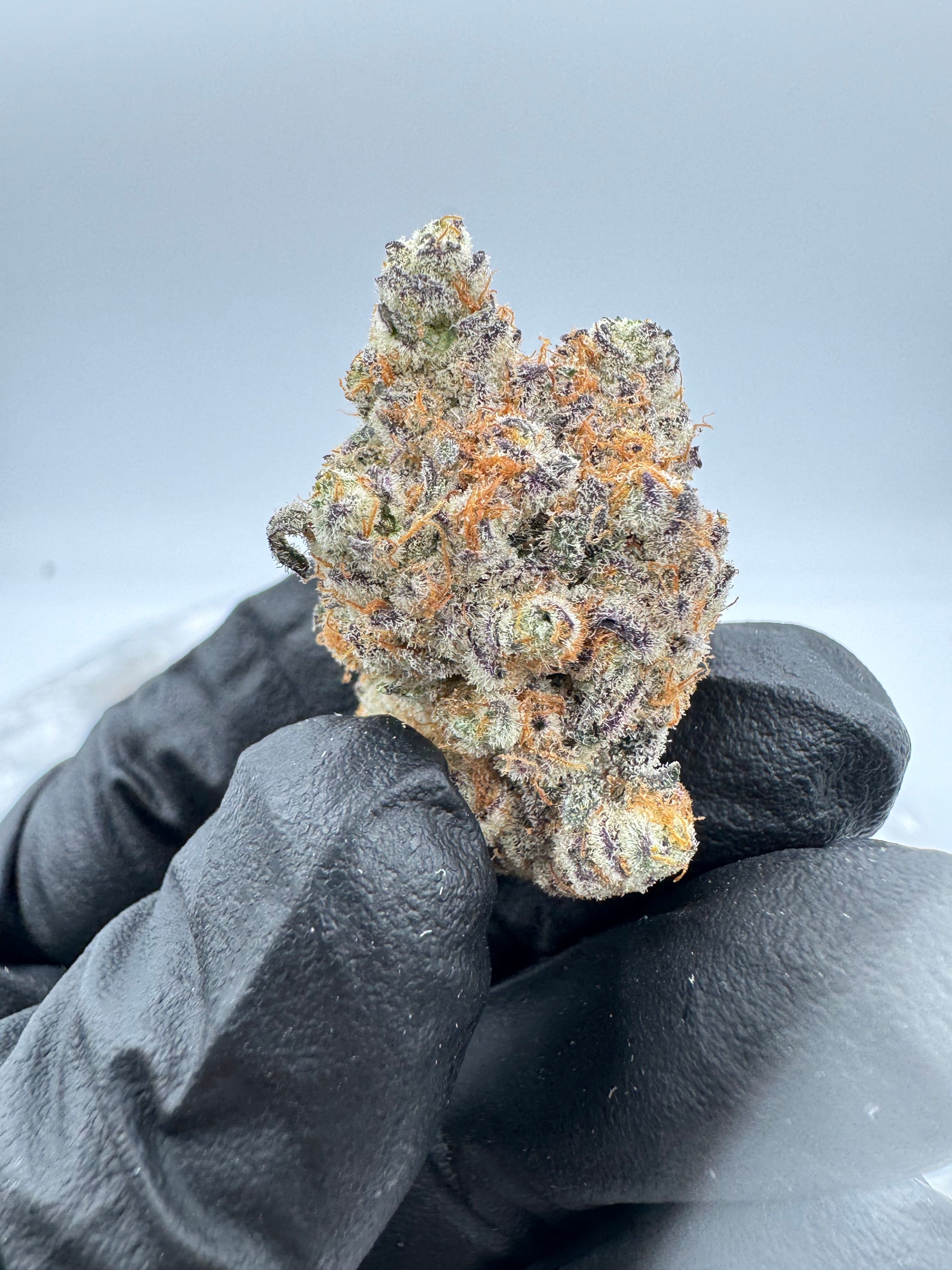 Alaskan Ice