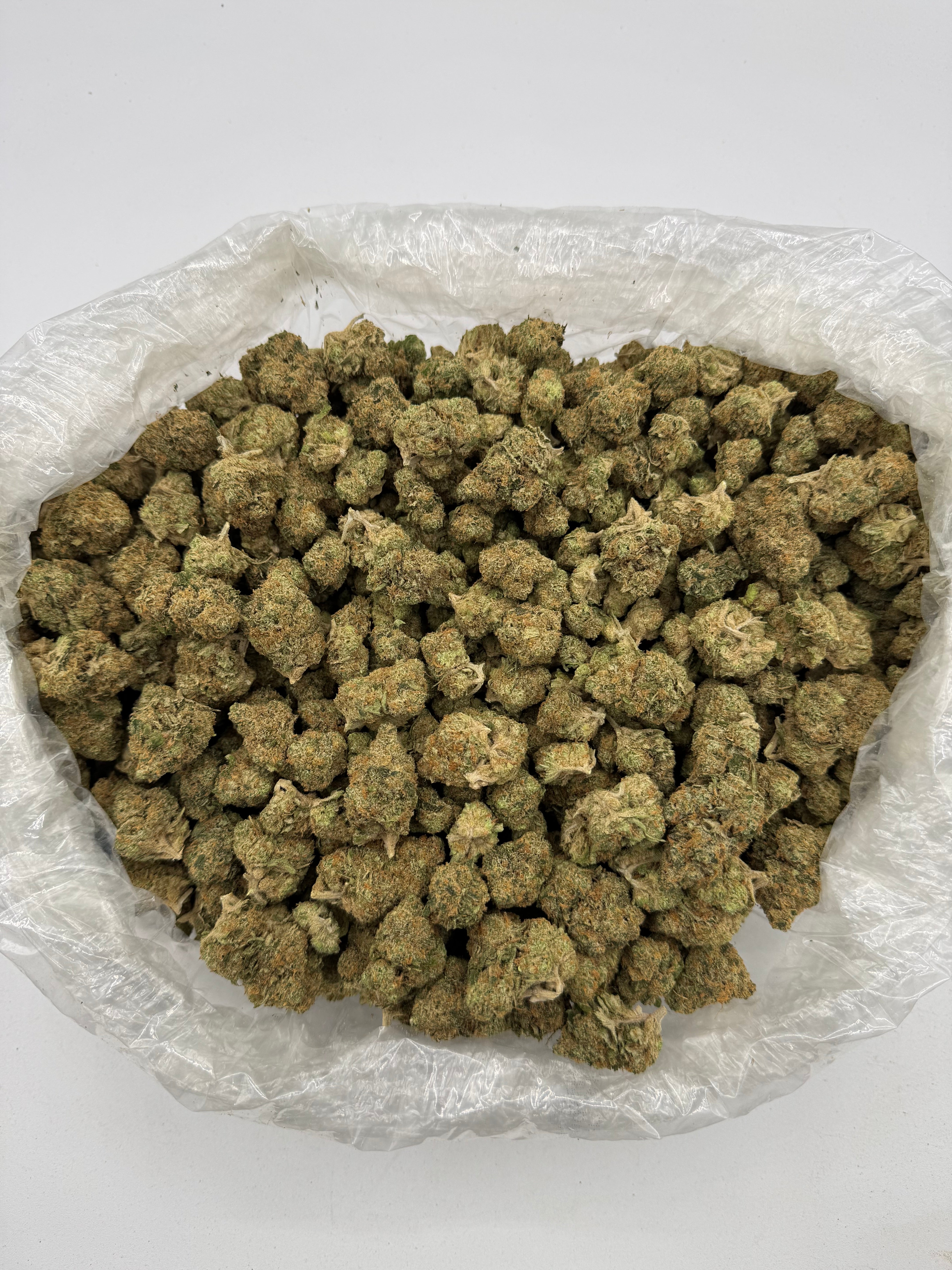 Bio Diesel