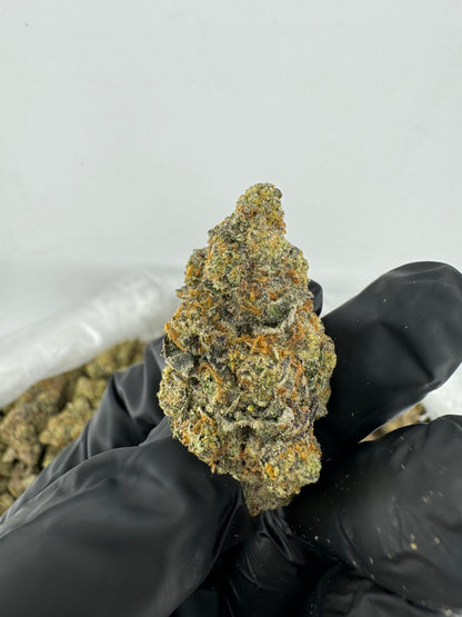 P85