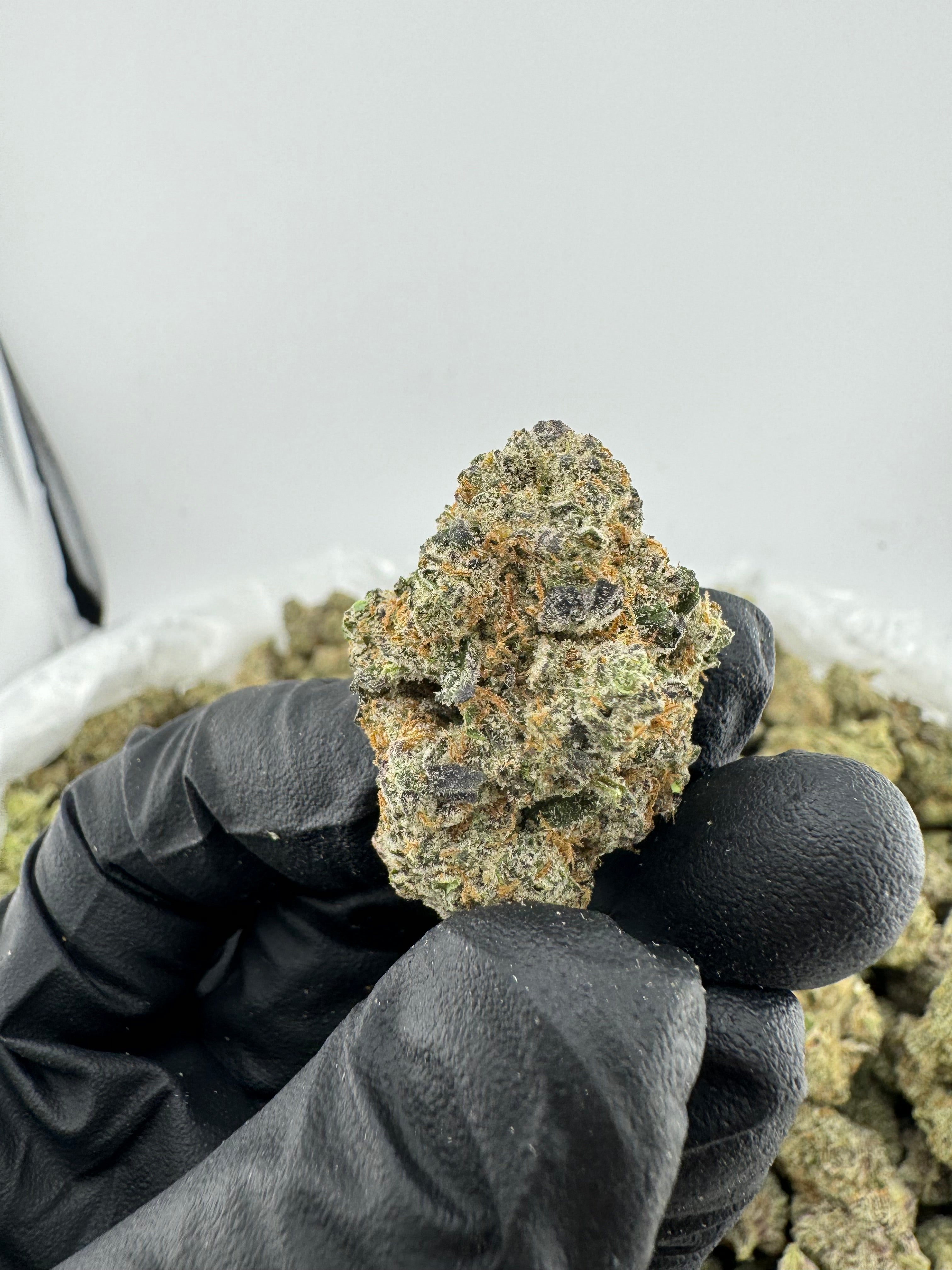 Kush Mintz