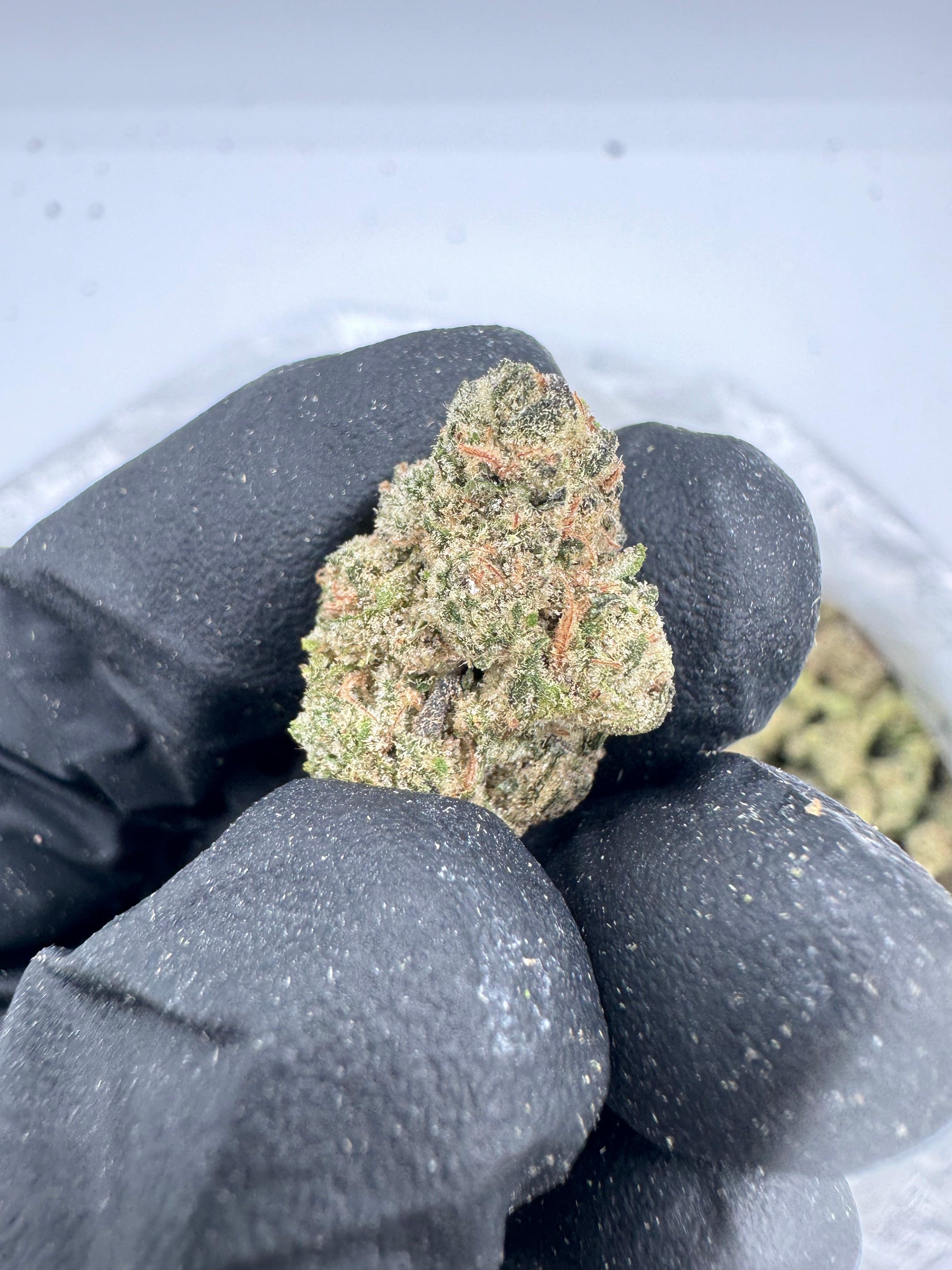 Grape Gasoline Smalls