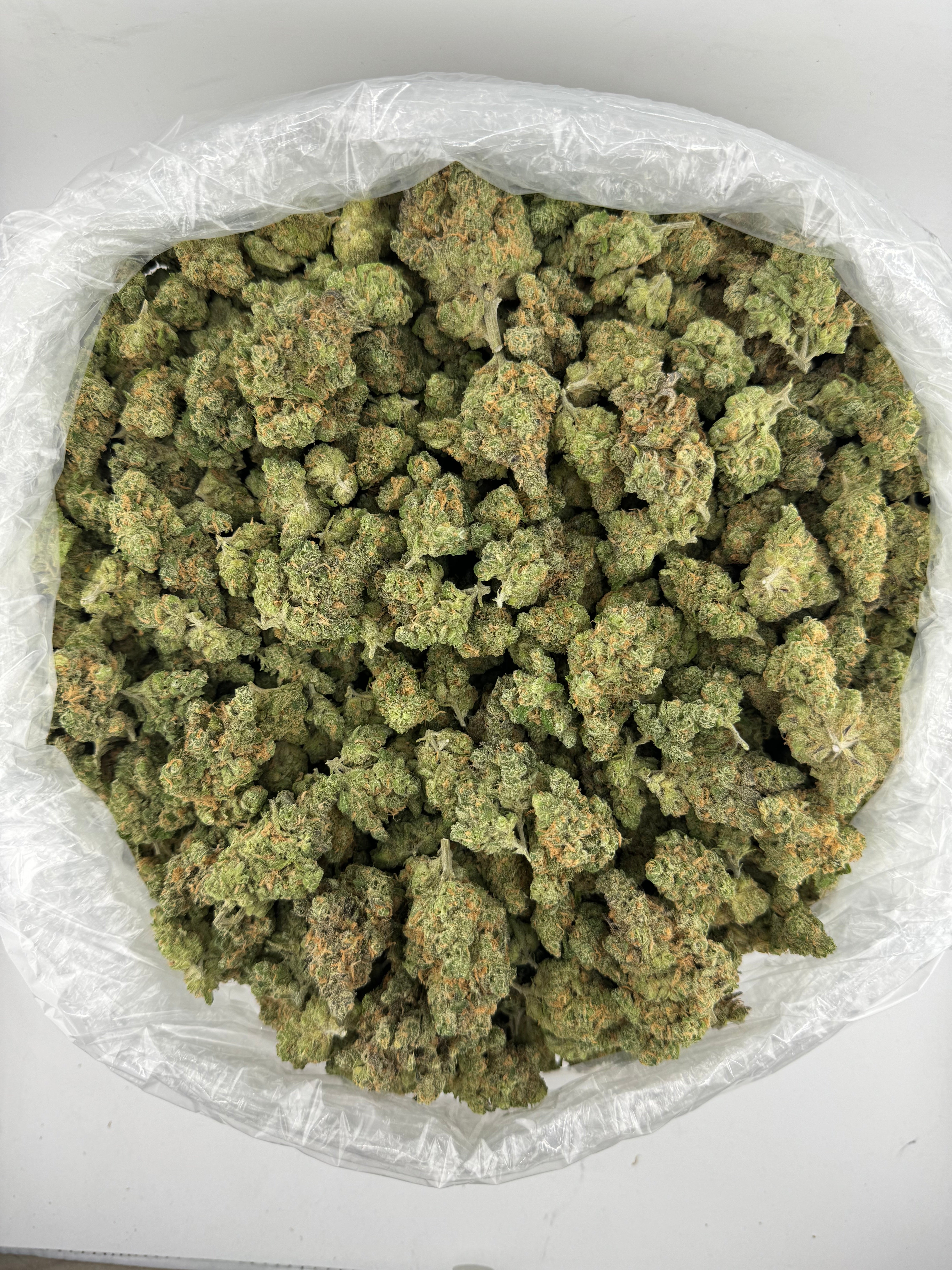 Blue Dream (High End)