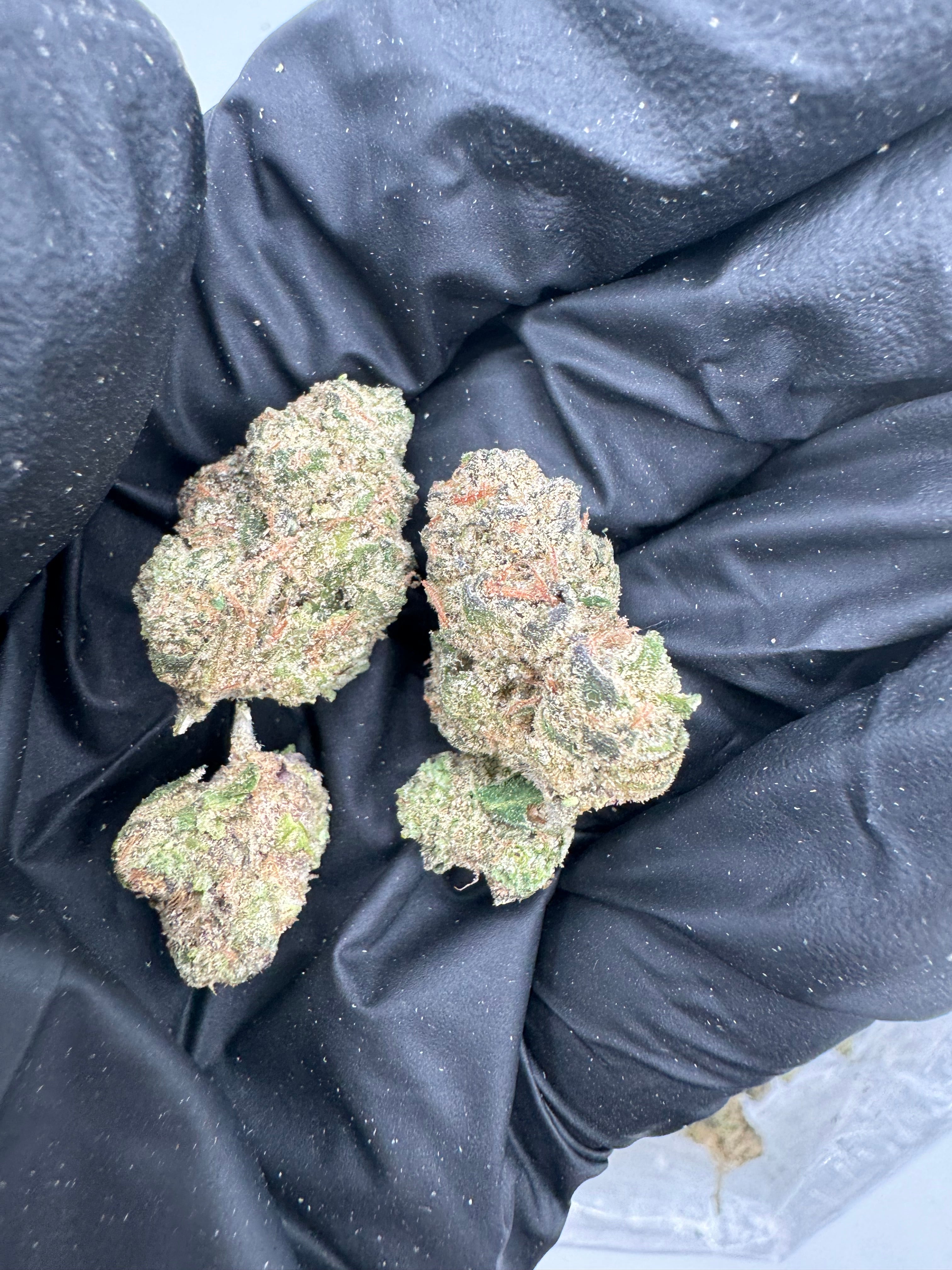 Grape Gasoline Smalls