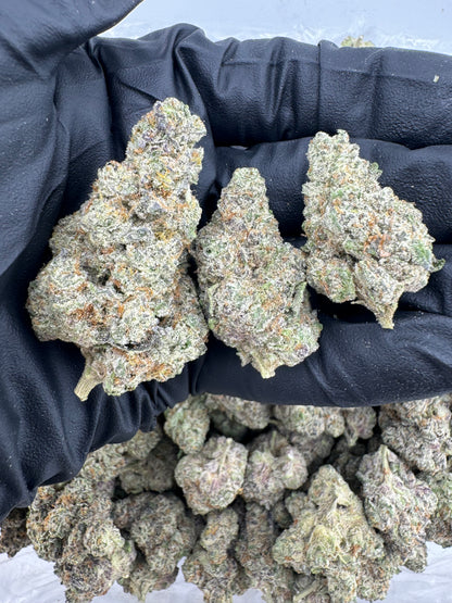 Kush Mintz