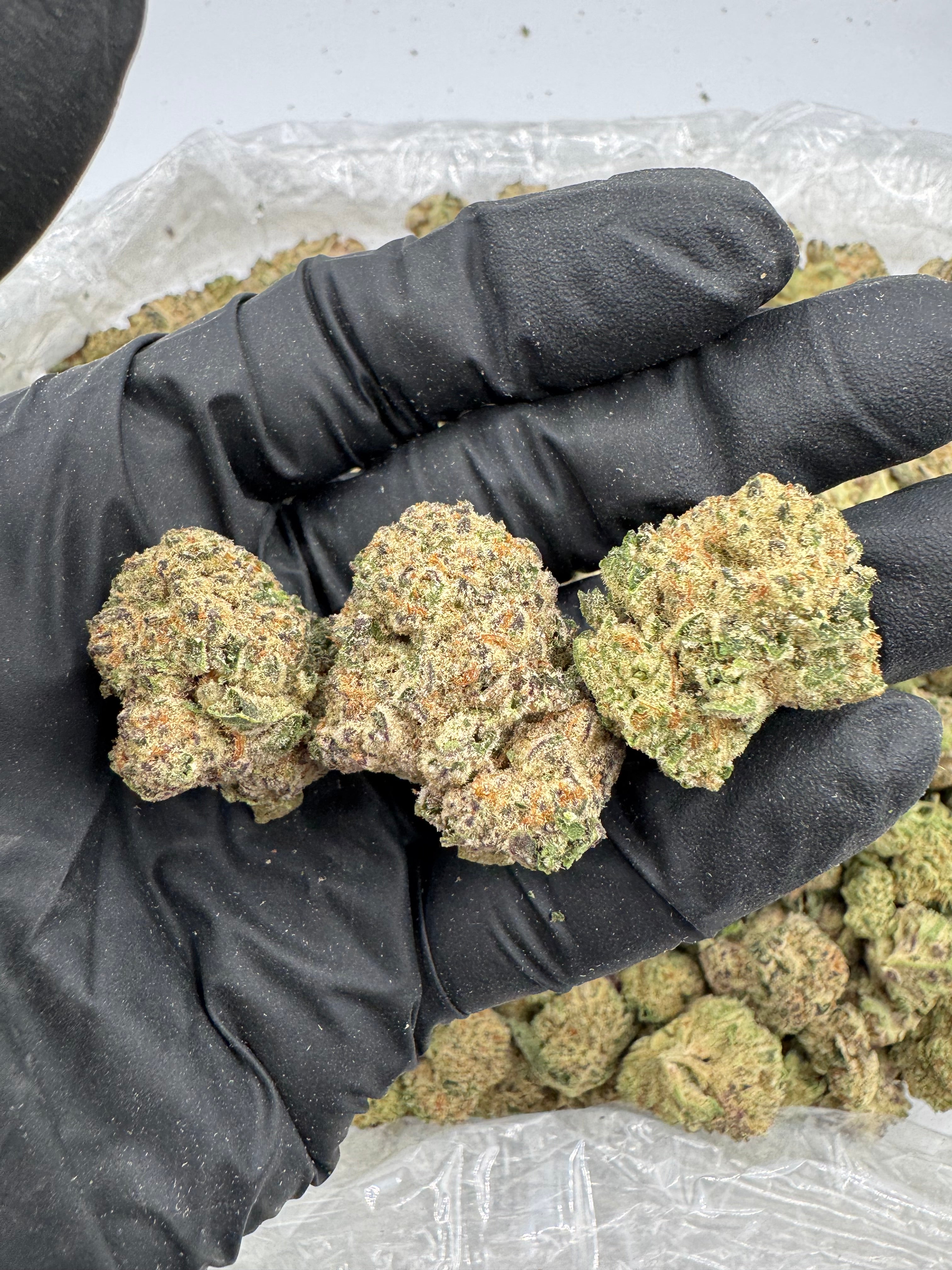 Lemon Haze