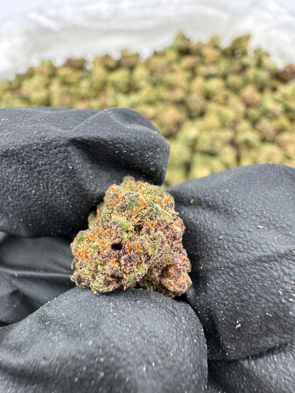 Gelato 33 Smalls
