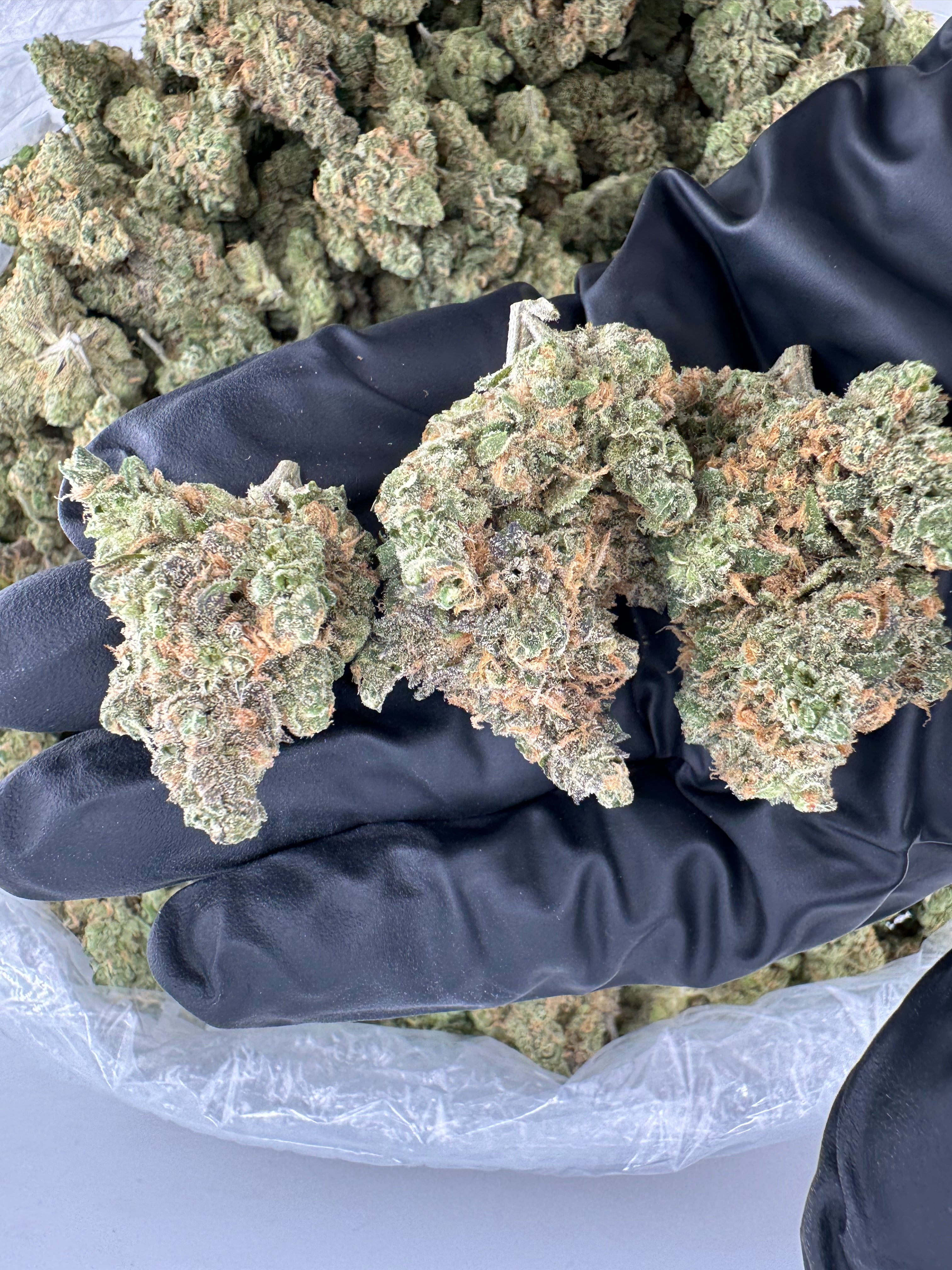 Blue Dream (High End)