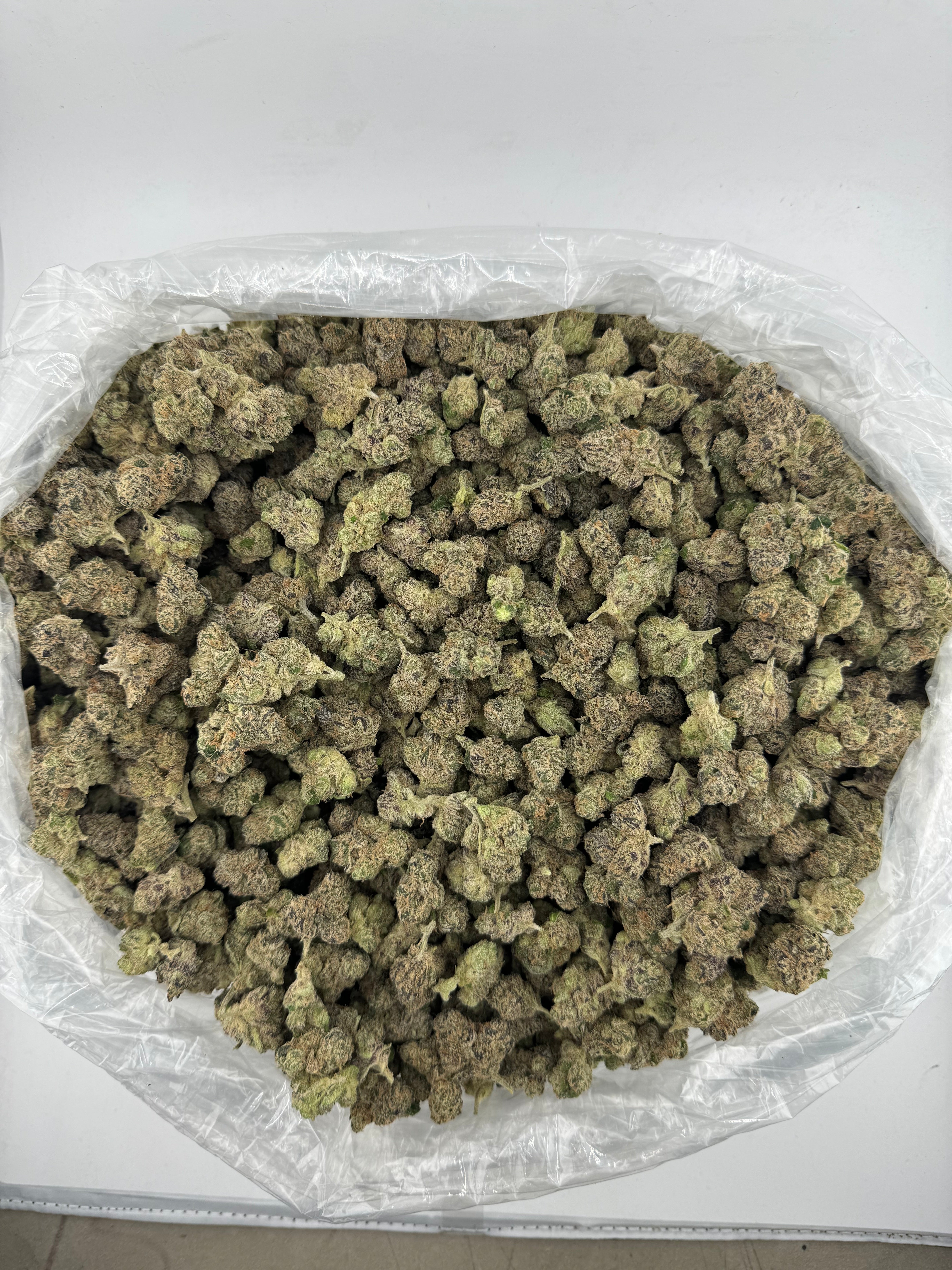 Grape Gasoline