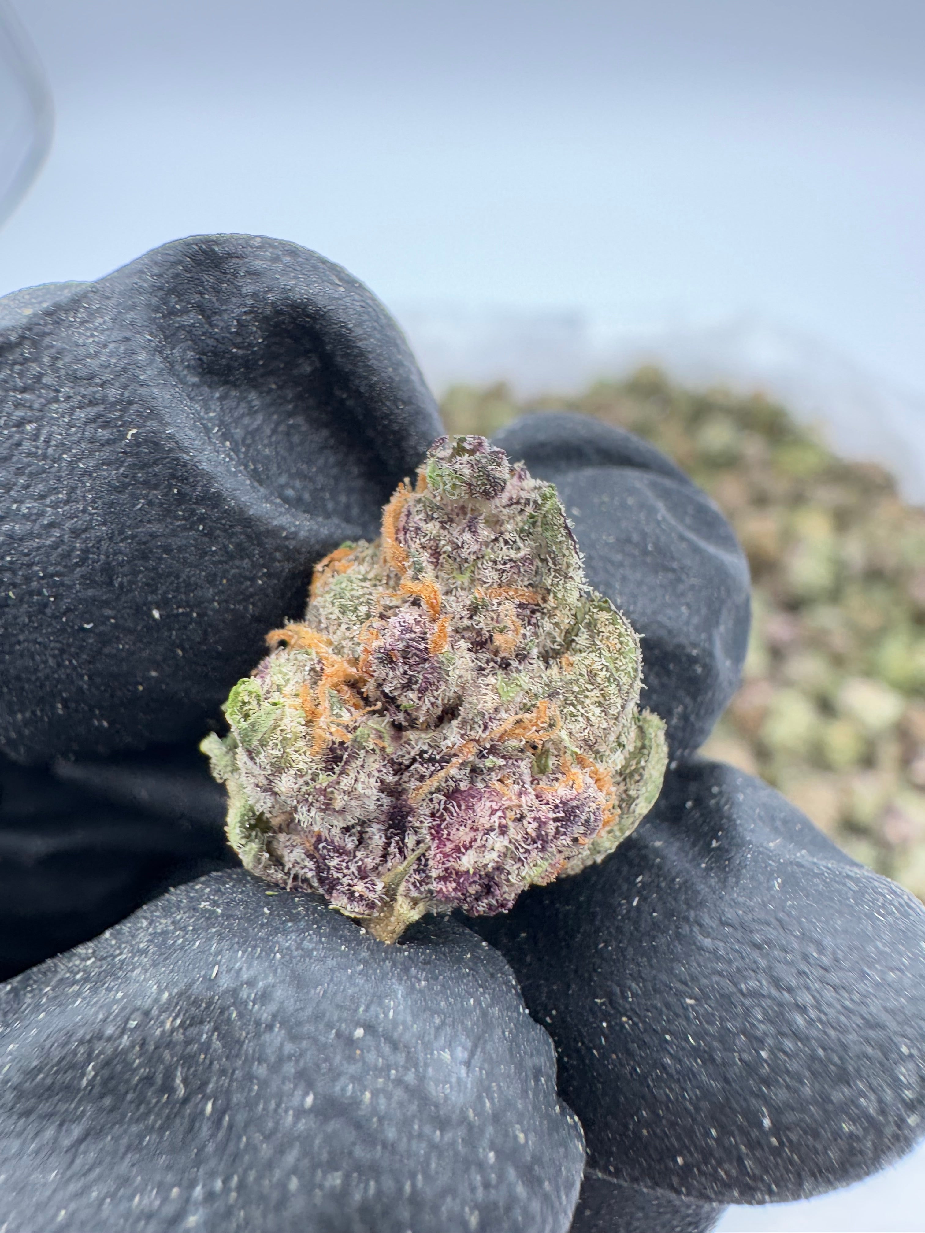 BlackBerry Smalls